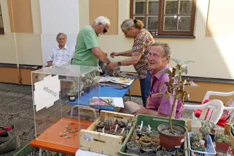 Výstava kaktusů a sukulentů (2)