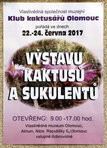 Výstava kaktusů a sukulentů (1)