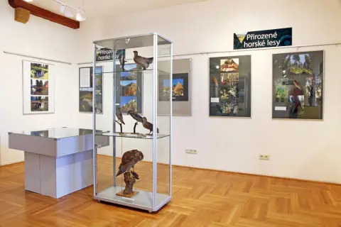Divoká krása Jeseníků (30)