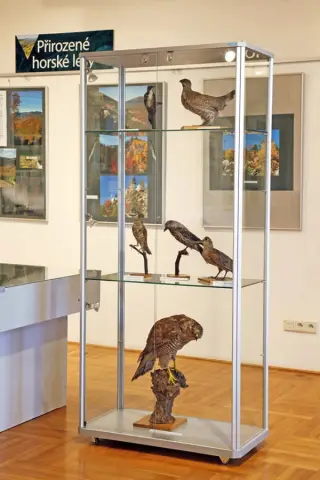 Divoká krása Jeseníků (46)