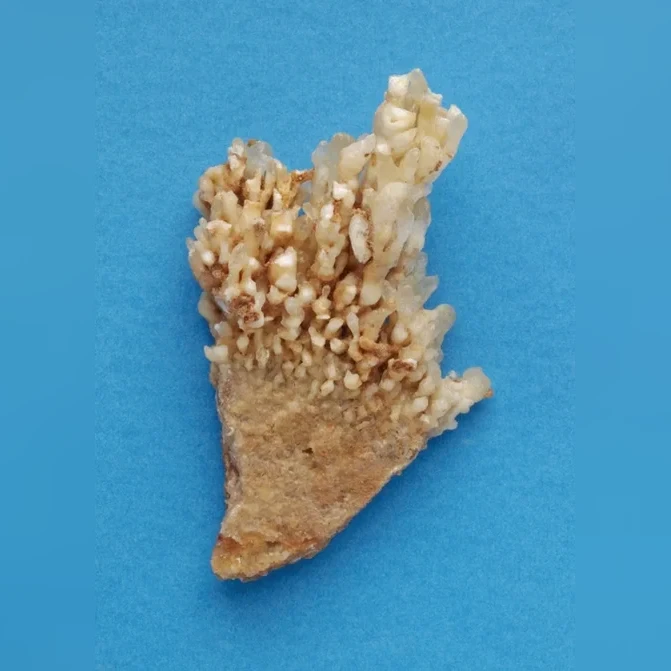 kalcit-pizoliticky-agregat-na-vapenci-lokalita-vitosov-lom-2-etaz-3789e5cf5d00