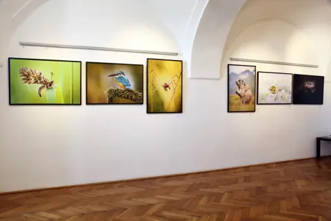 Momenty z přírody (10)