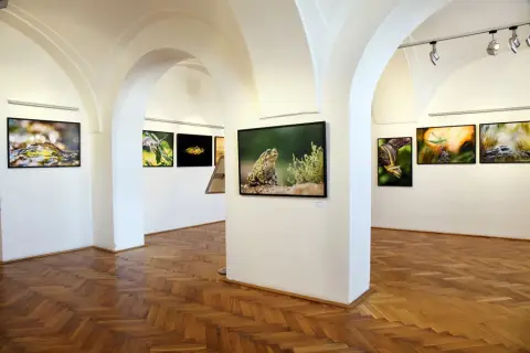 Momenty z přírody (11)