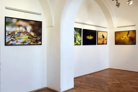 Momenty z přírody (3)