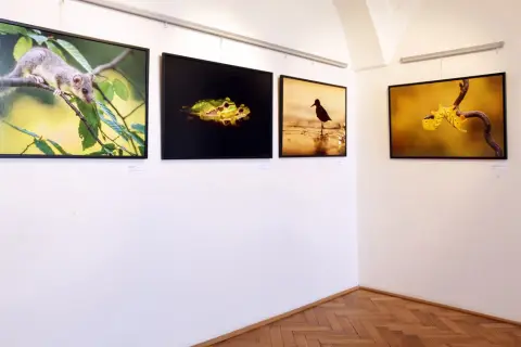 Momenty z přírody (4)