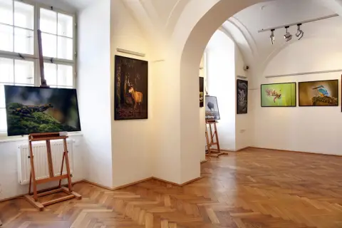 Momenty z přírody (8)