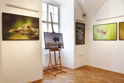 Momenty z přírody (9)