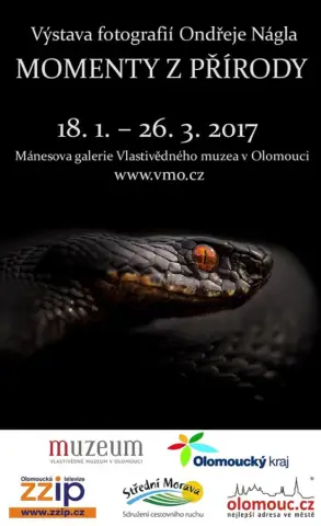 Momenty z přírody (1)