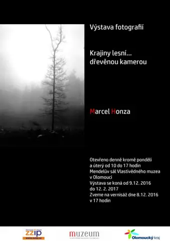 Krajiny lesní...dřevěnou kamerou (2) Krajiny lesní...dřevěnou kamerou (2)