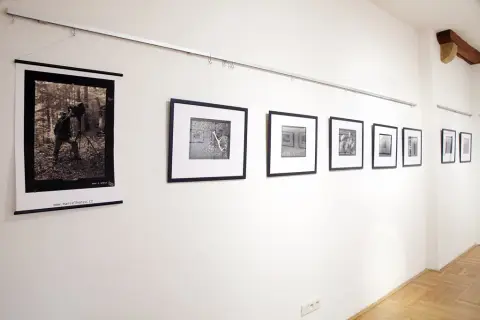 Krajiny lesní...dřevěnou kamerou (31) Krajiny lesní...dřevěnou kamerou (31)