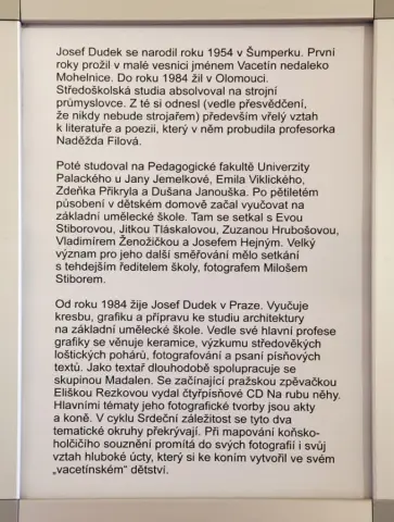 Srdeční záležitost (21) Srdeční záležitost (21)