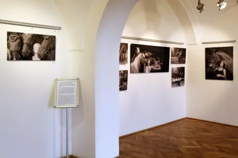 Srdeční záležitost (22) Srdeční záležitost (22)