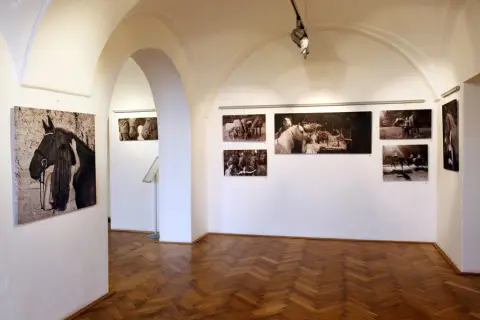 Srdeční záležitost (23) Srdeční záležitost (23)