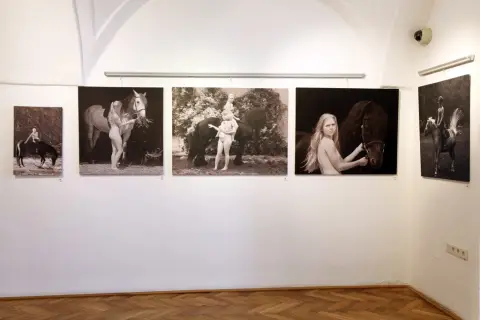 Srdeční záležitost (24) Srdeční záležitost (24)