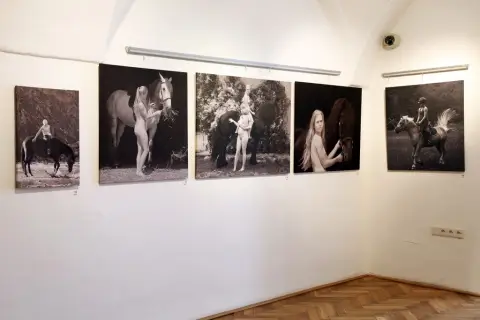 Srdeční záležitost (25) Srdeční záležitost (25)