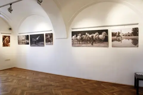 Srdeční záležitost (26) Srdeční záležitost (26)