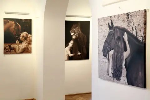 Srdeční záležitost (27) Srdeční záležitost (27)