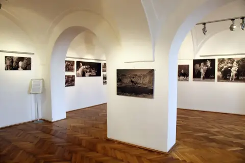 Srdeční záležitost (28) Srdeční záležitost (28)