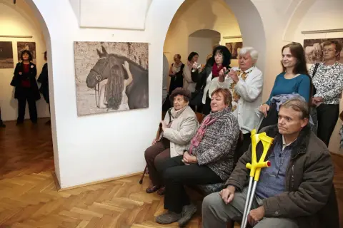 Srdeční záležitost (7) Srdeční záležitost (7)