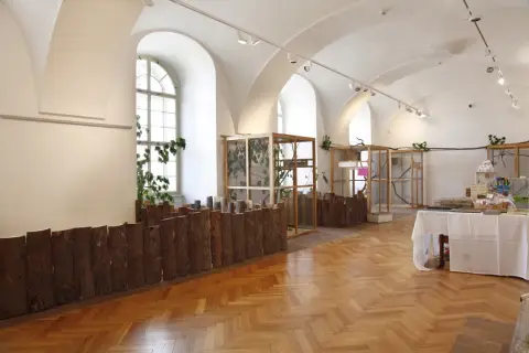 Nejmenší opičky světa ve VMO (5) Nejmenší opičky světa ve VMO (5)