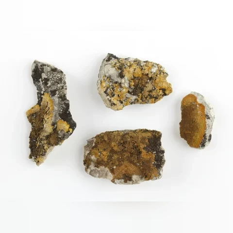 krasnice-zlatava-caloplaca-aurantia-2b1c1ebae214
