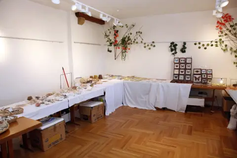 Výstava terarijních zvířat (10)