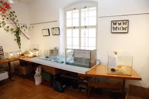 Výstava terarijních zvířat (11)