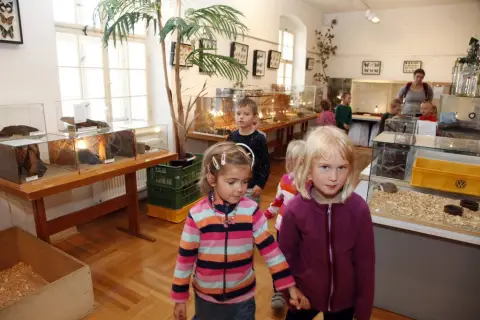 Výstava terarijních zvířat (12)