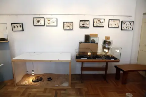 Výstava terarijních zvířat (15)