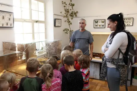 Výstava terarijních zvířat (2)