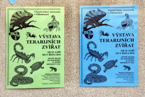 Výstava terarijních zvířat (20)