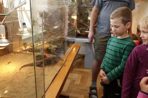 Výstava terarijních zvířat (3)