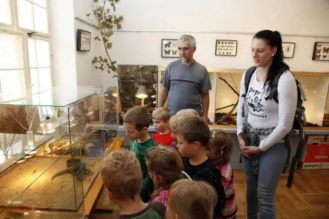 Výstava terarijních zvířat (4)