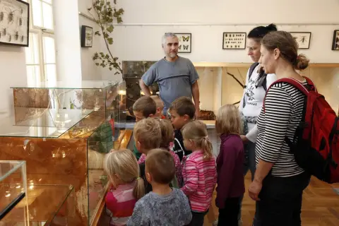 Výstava terarijních zvířat (5)