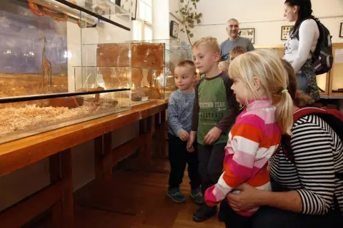 Výstava terarijních zvířat (6)
