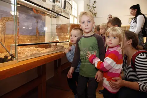 Výstava terarijních zvířat (7)