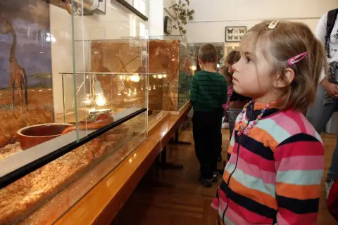 Výstava terarijních zvířat (9)