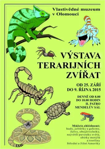Výstava terarijních zvířat (1)