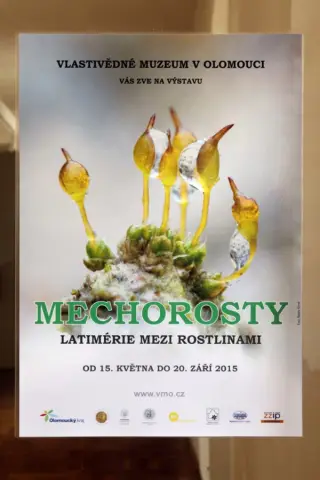 Mechorosty – latimérie mezi rostlinami (2) Mechorosty – latimérie mezi rostlinami (2)