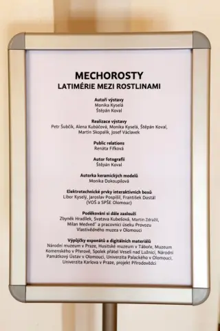 Mechorosty – latimérie mezi rostlinami (29) Mechorosty – latimérie mezi rostlinami (29)