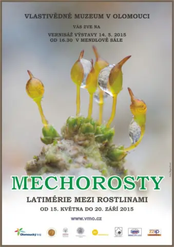 Mechorosty – latimérie mezi rostlinami (1) Mechorosty – latimérie mezi rostlinami (1)