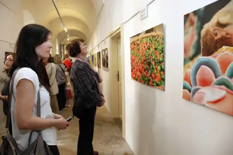 Samsára (16) Samsára (16)