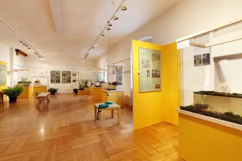 Smrtící pasti (11)