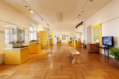 Smrtící pasti (13)