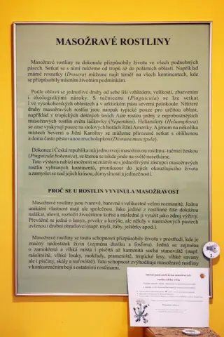 Smrtící pasti (15)