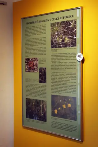 Smrtící pasti (21)