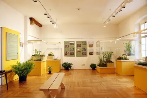 Smrtící pasti (4)