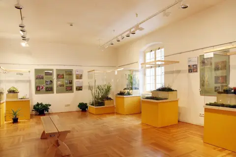 Smrtící pasti (5)