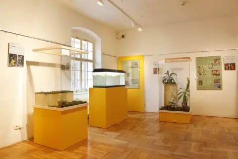 Smrtící pasti (6)