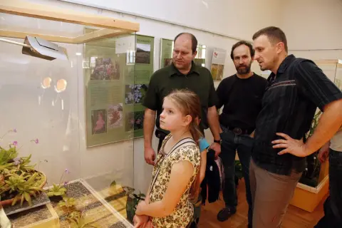 Smrtící pasti (95)